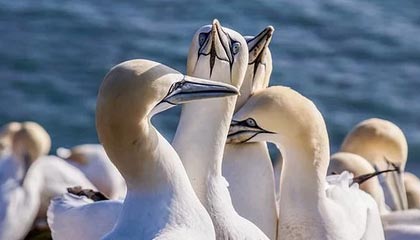 抖阴   漫画便携版