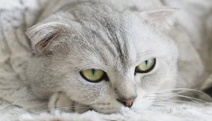 崩溃！争议点背后的原因扎心了，结局没人想到，崩溃事件