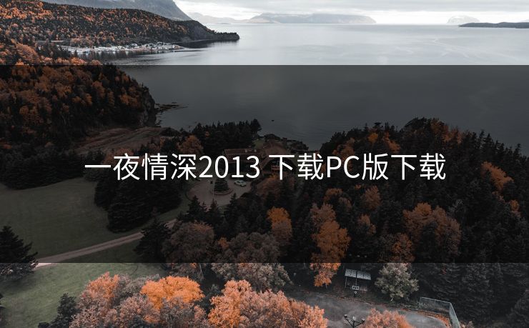 一夜情深2013 下载PC版下载