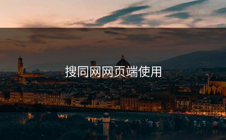 搜同网网页端使用