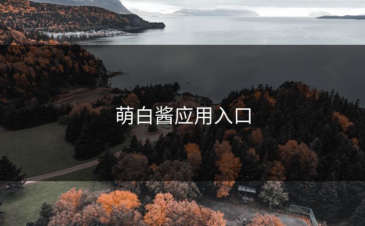 萌白酱应用入口